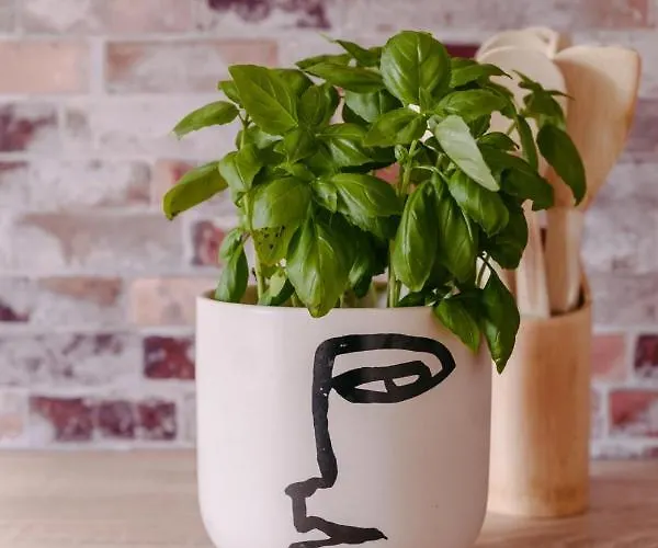 Obir Am Woerthersee Apartament *